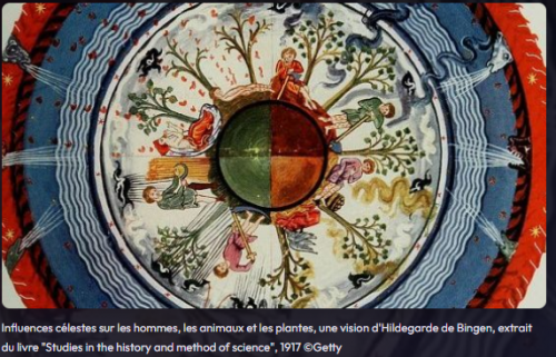 #blogsylvieneidinger #hildegardevonbingen #hildegardedebingen#bingen #rhin #allemagne  #hildagardevonbingenmusicienne