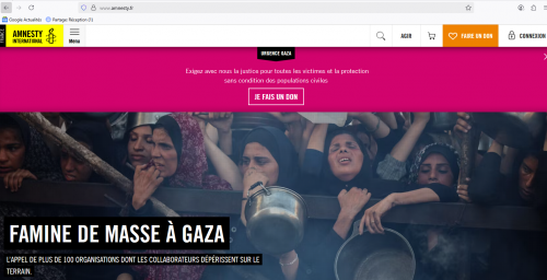 #gaza #gazastopgénocide #gazafamine #netanyahoucommetgénocide
