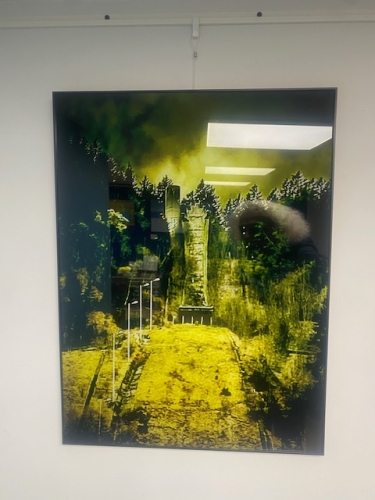 #mélodie #mélodiemontesinos #blogsylvieneidinger,#artistephotographe,#melodiephotographeplasticienne,#grenoble #artup #clikgallery,#suzanneporter  tremplin des jo68