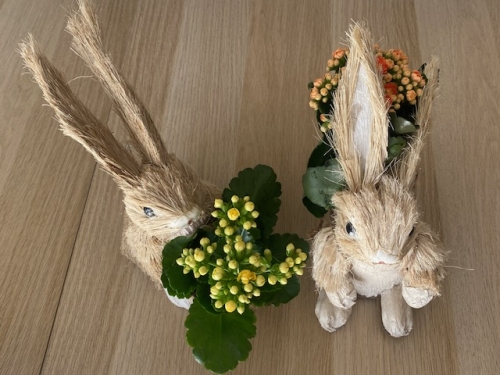 #easter #ostara #laapindepaques #lapin,#blogsylvieneidinger,#lapin #oeuf,#paques #paques2026 #oeufsdepaques #oeufs