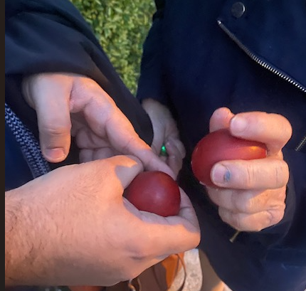 Capture d’écran 2026-04-06 033700.png