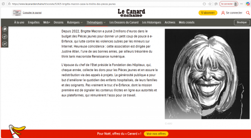 #brigittemcronsalesconnes #blogsylvieneidinger