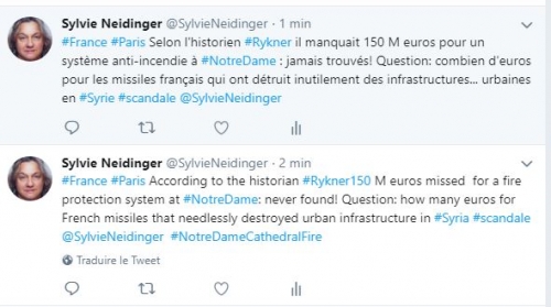 @SylvieNeidinger, #blogneidinger, notre-dame-de-paris,#paris,absence de système anti-incendie,syrie,missiles,#notre-dame